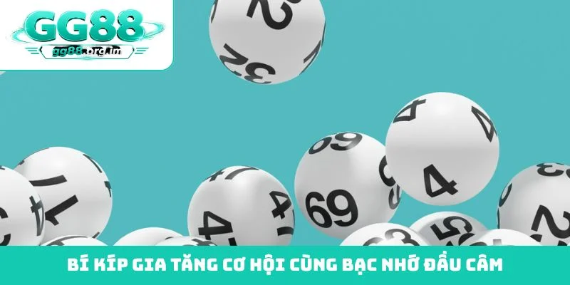 Bí kíp gia tăng cơ hội cùng bạc nhớ đầu câm