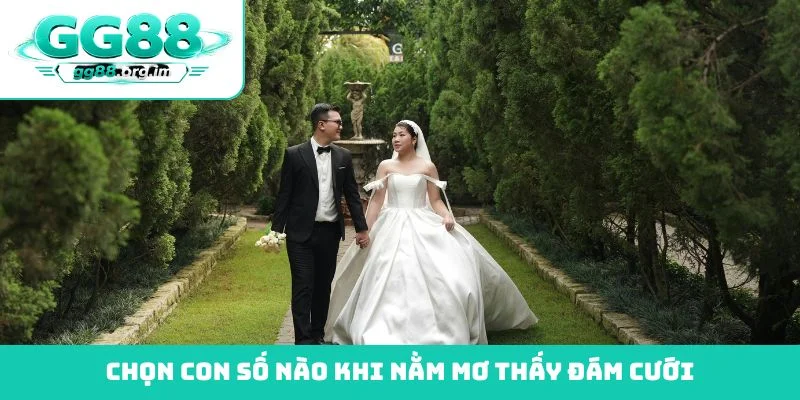 Chọn con số nào khi nằm mơ thấy đám cưới